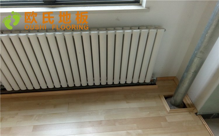 北京順義區(qū)趙全營(yíng)鎮(zhèn)天順小學(xué)籃球館木地板圖片